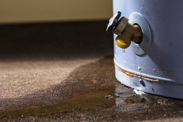 Best Water damage restoration cost  in Dalton, GA