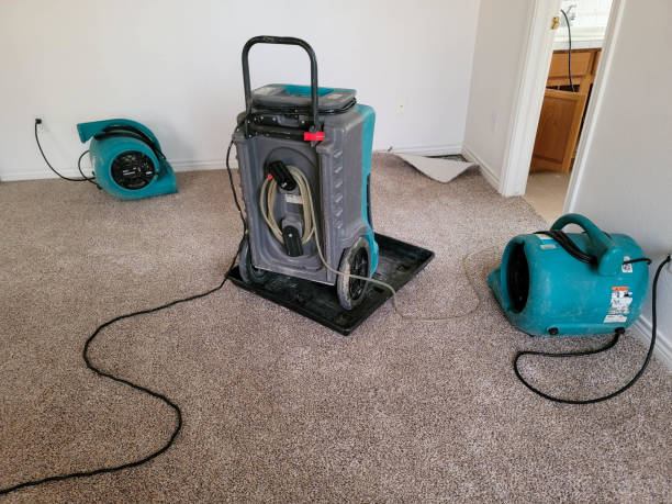 Best 24/7 water damage repair  in Dalton, GA