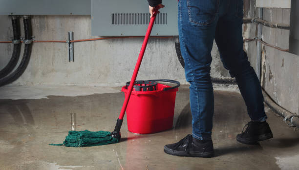 Best Basement water damage restoration  in Dalton, GA