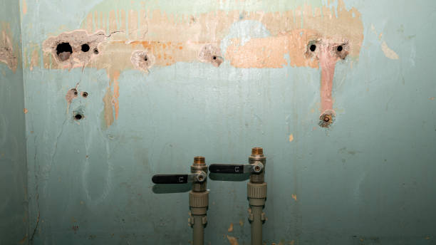 Best Residential water damage restoration  in Dalton, GA