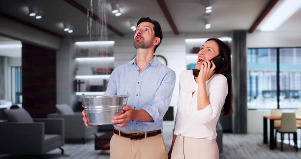 Best Water damage restoration insurance claims  in Dalton, GA