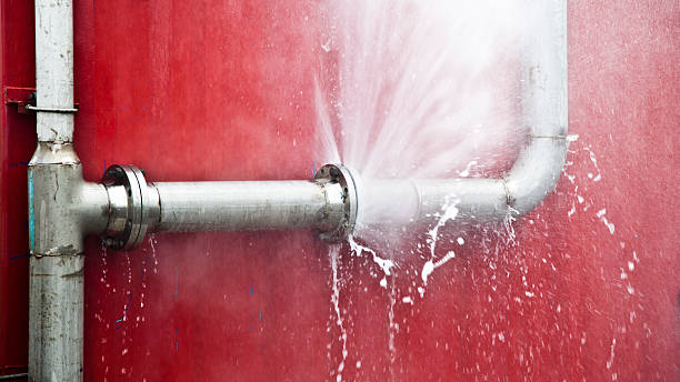 Best Flood restoration services  in Dalton, GA